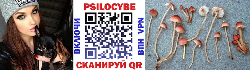 Галлюциногенные грибы Magic Shrooms Михайлов